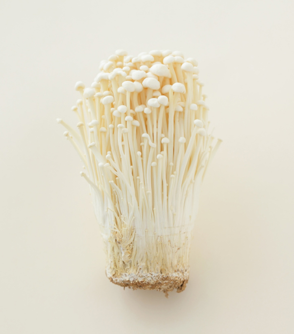 Enoki enoki