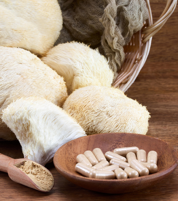 Lion's Mane lions-mane